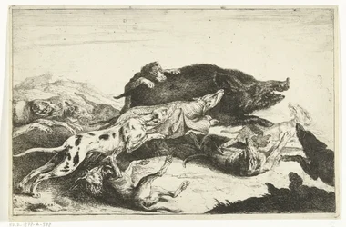 Hunde jagter en orne