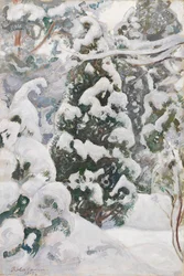 Enebærtræ i sne