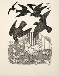 A Calculating Crow, fra A Hundred Anecdotes of Animals, pub. 1924