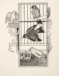 A Charitable Canary, fra A Hundred Anecdotes of Animals, pub. 1924