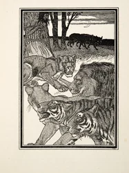 A Grateful Lioness, fra A Hundred Anecdotes of Animals, pub. 1924 (gravering)