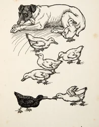 A Singular Foster-Mother, fra A Hundred Anecdotes of Animals, udgivet af A Hundred Anecdotes of Animals, pub. 1924