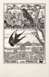 Philomel og Progne, fra Fontaine Fables, pub. 1905