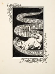 Snake Destroyers, fra A Hundred Anecdotes of Animals, pub. 1924 (gravering)