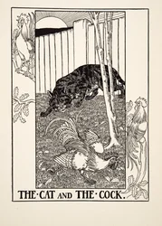 Katten og hanen, fra Hundrede fabler af Æsop, udgivet 1903