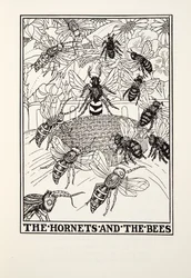Hornets and the Bees, fra Fontaine Fables, pub. 1905 (gravering)