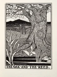 The Oak and the Reed, fra Fontaine Fables, pub. 1905