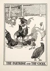 Agerhønen og Hanerne, fra A Hundred Fables of Aesop, pub.1903