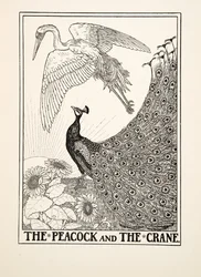 The Peacock and the Crane, fra A Hundred Fables of Aesop, pub.1903