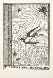 Edderkoppen og svalen, fra Fontaine Fables, pub. 1905