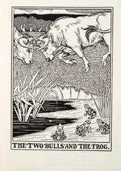 The Two Bulls and the Frog, fra Fontaine Fables, pub. 1905