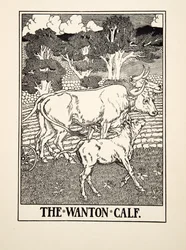 The Wanton Calf, fra A Hundred Fables of Aesop, pub.1903