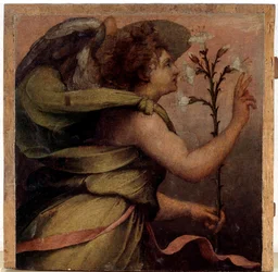 Bebudelsens engel, detalje (olie på træ, ca. 1535)