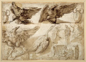 Studier af en ørn, en gås, en kande, en krukke og af menneskelige figurer, herunder to til en Rape of Lucretia (pen & brunt blæk med brun vask på hvidt trådlagt papir)