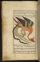 Tilføj MS 15241 f.64r Simurgh, en iransk tordenfugl, fra 