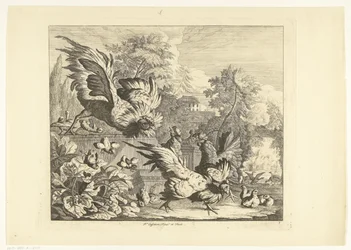 Hanekamp Forskellige fugle (serietitel)