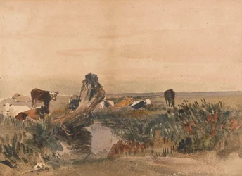 Kvæg ved en Strøm