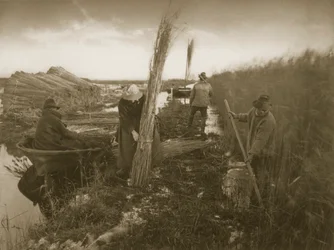 Under Reed Harvest, Life and Landscape on the Norfolk Broads, c.1886