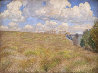 En mark med bølgende rug