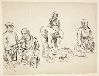 Roeoptagere. Studieblad