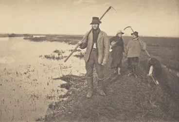Hjemkomst fra marsken