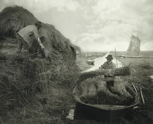 Ricking the Reed, ca. 1885 (platintryk)