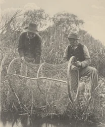 Opsætning af bue-nettet,1886 (foto)