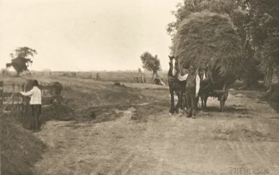 Sumpområdets rigdom