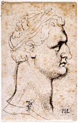Domitian, fra ti tegninger af otte af de første tolv Cæsarer, efter Giovanni da Cavinos medaljer (pen og blæk på papir)