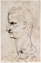 Gaius Caligula, fra ti tegninger af otte af de første tolv Cæsarer, efter Giovanni da Cavinos medaljer (pen og blæk på papir)
