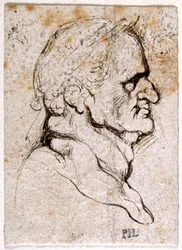Galba, fra ti tegninger af otte af de første tolv Cæsarer, efter Giovanni da Cavinos medaljer (pen og blæk på papir)