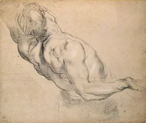 Studie af en nøgen mandlig Torso, 1600-1640