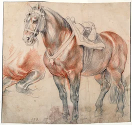 ""en sadelhest"" Akvarel af Pieter Paul Rubens (1577-1640) omkring 1616-1618 Wien Bibliotheque albertina