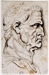 Vespasian, fra ti tegninger af otte af de første tolv Cæsarer, efter Giovanni da Cavinos medaljer (pen og blæk på papir)