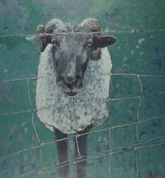 Ventende får, 2000 (olie på lærred)