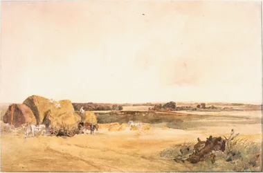 Bære hø