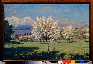 Kirsebær blomster. Maleri af Pyotr Ivanovich Petrovichev (Pyotr Petrovichev) (1874-1947), olie på lærred