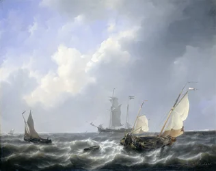 Havlandskab fra Zeeland Waters, nær øen Schouwen