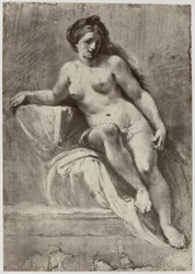 Zuccarelli, en undersøgelse