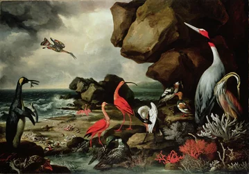 En pingvin, et par flamingoer og andre eksotiske fugle, skaller og koraller på kystlinjen