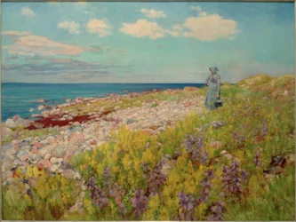 På stranden