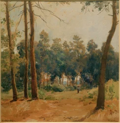 Skovlandskab nær Hartmannshofen