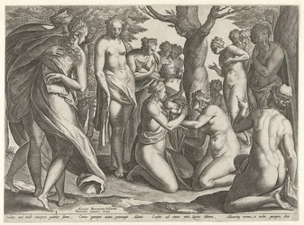 Adonis fødsel The Story of Adonis (serietitel)