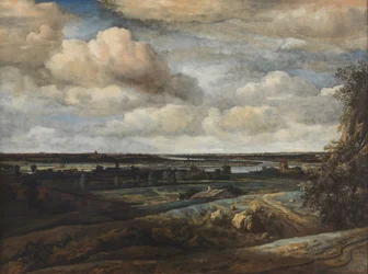 Hollandsk panoramalandskab med en fjern udsigt over Haarlem