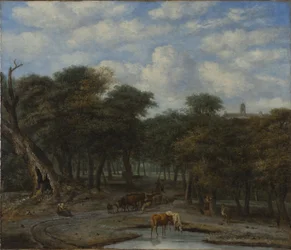Skovlysning med kvæg