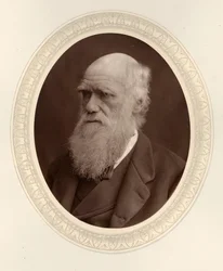 Portræt af Charles Darwin 1809-1882, 1877.