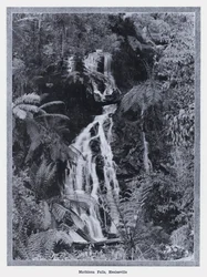 Mathinna Falls, Healesville (s/h-billede)