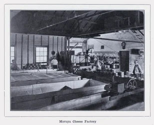 Moruya Cheese Factory (s/h foto)