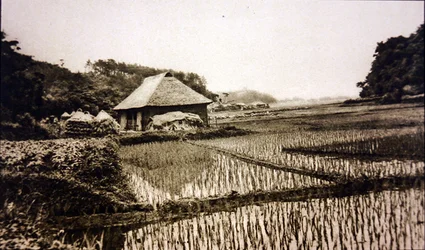 Rismarker i Japan