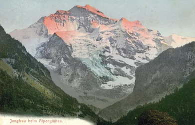 Alpenglow, Jungfrau, Schweiz (farvefoto)